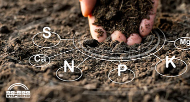7 фактов о кислотности почвы, которые должен знать каждый аграрий. Часть 1